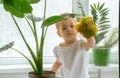 A little girl diligently washing a window Royalty Free Stock Photo