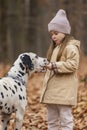 little girl with a dog in the forest Royalty Free Stock Photo