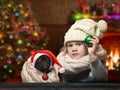Little girl and dog holding Christmas toys - balls. Royalty Free Stock Photo
