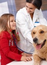 Little girl and dog at pets' clinic Royalty Free Stock Photo