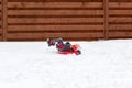 Little girl and dog sledding in snow Royalty Free Stock Photo