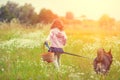 Little girl with dog walking on the field Royalty Free Stock Photo