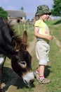 Little girl with donkey