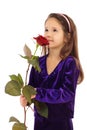 Little girl dreaming with a rose Royalty Free Stock Photo