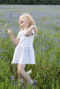 A little girl in a dress and with a bouquet of flowers laughs and plays in a field with cornflowers on a summer day