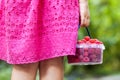Little girl in dress child hand holdind small basket of ripe raspberries. Close-up Royalty Free Stock Photo