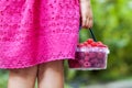 Little girl in dress child hand holdind small basket of ripe raspberries. Close-up Royalty Free Stock Photo