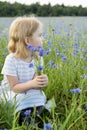 A little girl in a dress and with curly hair and with a bouquet of flowers is sitting in a field with cornflowers Royalty Free Stock Photo