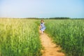 Little girl in a dress runs across the field on a sunny day Royalty Free Stock Photo