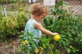 Little girl in dress watering the flowers in the family garden at a summer day, very rural scene Royalty Free Stock Photo