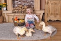 Little girl with ducklings Royalty Free Stock Photo