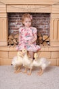 Little girl with ducklings Royalty Free Stock Photo