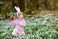 Little girl with Easter bunny ears making egg hunt in spring forest on sunny day, outdoors. Cute happy child with lots