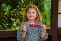 Little girl eating delicious strawberries on skewers, savoring the simple pleasures of family and healthy food. Happy Royalty Free Stock Photo