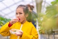 Little girl eating Fresh Strawberry in Japanese strawberry farm Royalty Free Stock Photo