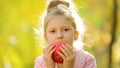 Little girl eating a natural apple ,outdoors . Little girl eating a natural apple in autumn Park. Healthily concept. Healthy