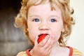 Little girl eating strawberry Royalty Free Stock Photo