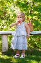 Little girl eats an apple Royalty Free Stock Photo