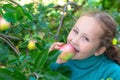 A little girl eats an Apple under an Apple tree in the garden. Royalty Free Stock Photo