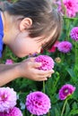 Little girl enjoy with flowers Royalty Free Stock Photo