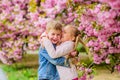 Little girl enjoy spring flowers. Giving all flowers to her. Surprising her. Kids enjoying pink cherry blossom. Romantic Royalty Free Stock Photo