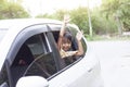 Girl enjoying the trip smile and show hand out of car window on the road. Royalty Free Stock Photo