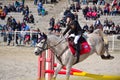 Little girl equestrian horse jump Royalty Free Stock Photo