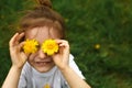 A little girl of European appearance with light hair puts yellow dandelion flowers to her eyes and enjoys the summer, Royalty Free Stock Photo