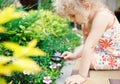 Little girl exploring nature Royalty Free Stock Photo