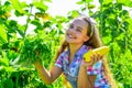 little girl on farming garden with squash. growing vegetable marrow. happy childhood. retro beautiful girl showing Royalty Free Stock Photo