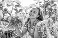 little girl on farming garden with squash. growing vegetable marrow. happy childhood. retro beautiful girl showing Royalty Free Stock Photo