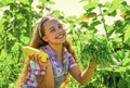 little girl on farming garden with squash. growing vegetable marrow. happy childhood. retro beautiful girl showing Royalty Free Stock Photo