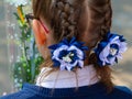 Little girl with a fashionable hairstyle for the holidays. Girl with pigtails and decorative flowers woven into them
