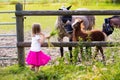 Little girl feeding baby horse on ranch Royalty Free Stock Photo