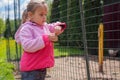 Little girl feeding chickens on the farm Royalty Free Stock Photo