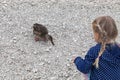 Little girl feeding ducks at Black Lake in Royalty Free Stock Photo