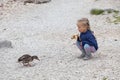 Little girl feeding ducks at Black Lake in Royalty Free Stock Photo