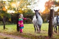 Little girl feeding a horse Royalty Free Stock Photo