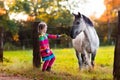 Little girl feeding a horse Royalty Free Stock Photo