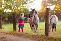 Little girl feeding a horse Royalty Free Stock Photo