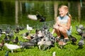 Little girl feeding pigeons in the park Royalty Free Stock Photo