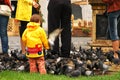 Little girl feeding pigeons Royalty Free Stock Photo