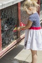 Little girl feeding a rabbit