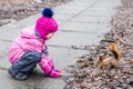 Little girl feeding squirrel with nuts in forest. Royalty Free Stock Photo