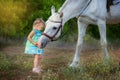 The little girl feeds a horse