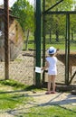 A little girl feeds a young deer in a zoo in the summer during t