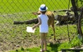 A little girl feeds a young deer in a zoo in the summer during t