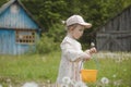 Beautiful child with dandelion flowers in park in summer. Happy kid having fun outdoors. Royalty Free Stock Photo