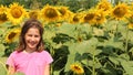 Little girl in a field of sunflowers