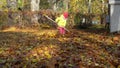 Little girl fighting colorful autumn leaves with raker tool in house backyard